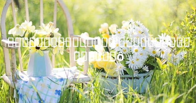 ������ͨ�������� ��ָ��ֱ�����ߴ���ʲô